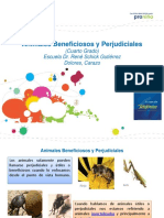 animalesbeneficiososyperjudiciales-120910102650-phpapp02