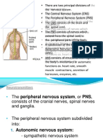 Organs and Divisions