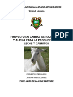 Proyecto de Cabras Final NATIVIDAD PDF