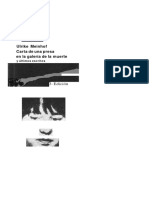 Ulrike Meinhof Carta de Una Presa en La Galería de La Muerte