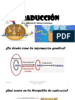 Traducción 2019 I PDF