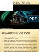 Biota Laut Dalam