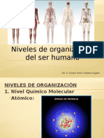 1-Niveles-de-organización[1]