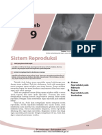 Sistem Reproduksi.pdf
