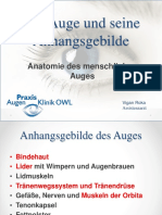 Das Auge Und Seine Anhangsgebilde