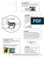 AdminLB-carte_identite_de_la_vache(1).pdf