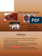 187750030-Pesta-porcina-clasica.ppt