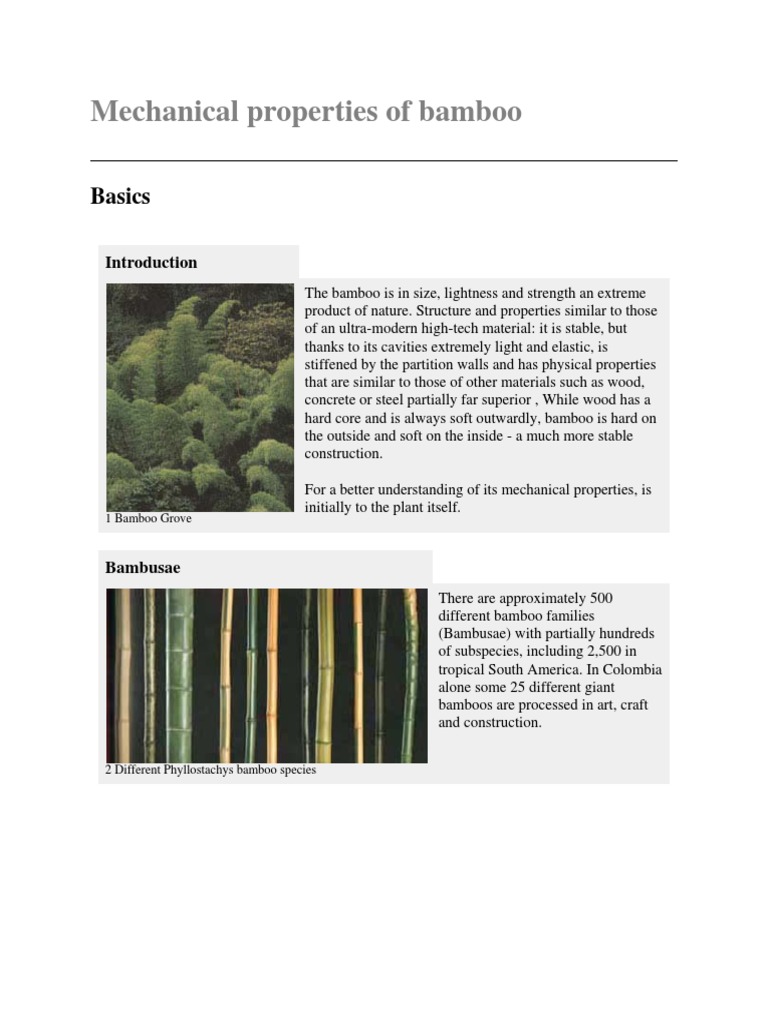 Mechanical Properties of Bamboo Young's Modulus Bending