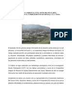 Diagnóstico ambiental Suárez