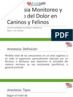 Anestesia Monitoreo y Manejo Del Dolor en Caninos y Felinos