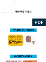 Pthirus Pubis