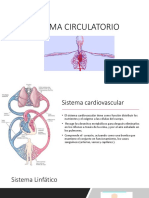 Sistema Circulatorio Luly