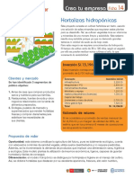 ficha-14-hortalizas-hidroppnicas.pdf