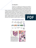 Ciclo Vital Del Virus de La Hepatitis C