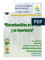 Bio Combustible