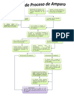 Proceso amparo electoral