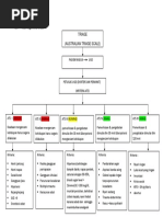 Australasian Triage Scale | PDF