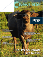 PCC Newsletter 2015 Carabao