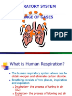 Respiratory System Powerpoint 2015