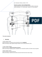 The Endocrine Systems How The Body Works