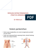 patofisiologi perkemihan