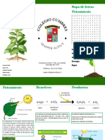 Fotocintesis 2 PDF