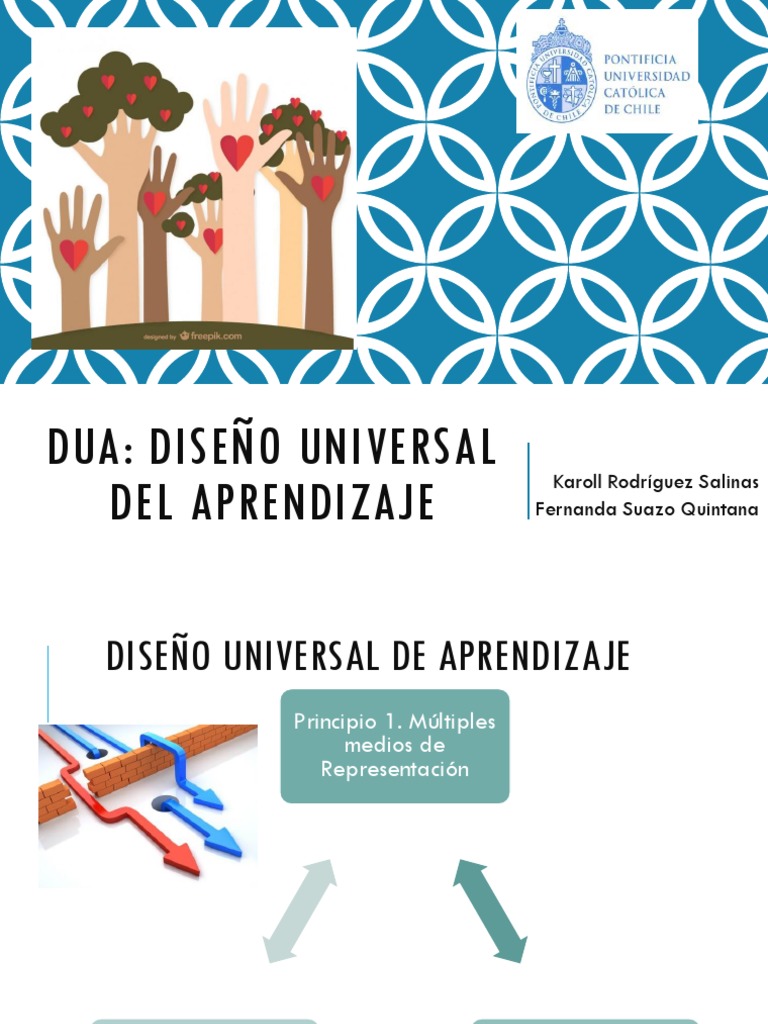 Dua | PDF | Plan de estudios | Información