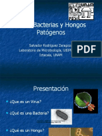 virusbacteriasyhongospatgenos-110623131539-phpapp01.pptx