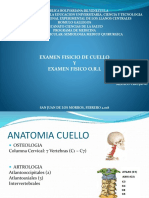 Examen Fisico de Cuello