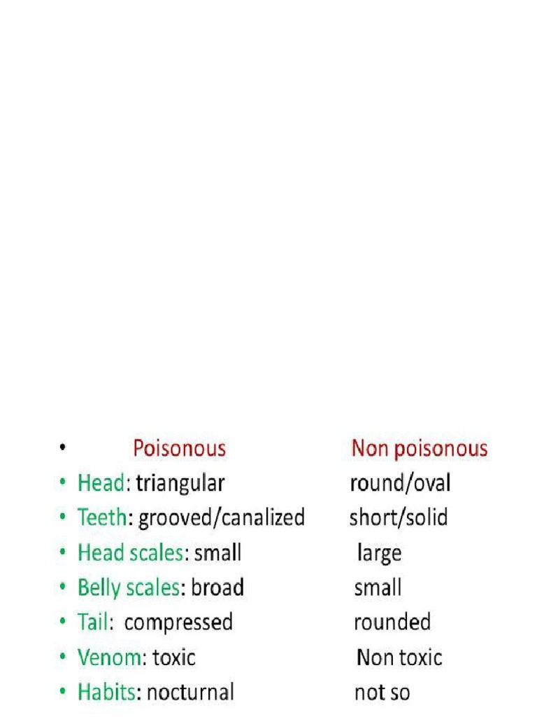Venomous Snakes Classification Guide | PDF