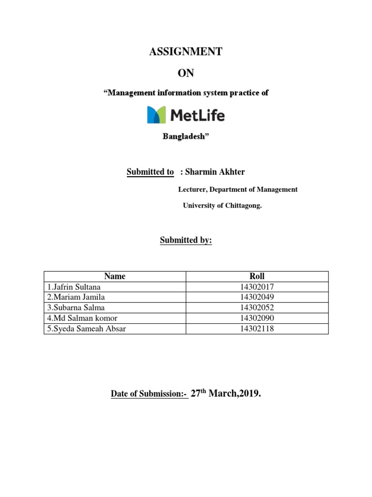 Mis assignment pdf image