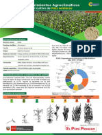 Ficha Tecnica02 Cultivo Maiz Amilaceo