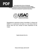 Informe Sistematicacion VIRGINIA