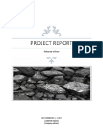 Project Report: Behavior of Iron
