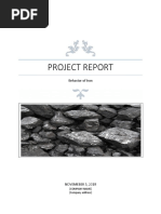 Project Report: Behavior of Iron