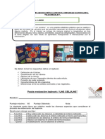 8° Año Pauta de Evaluacion de Lapbook La Celula