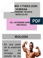 Clase 7.1 Músculos