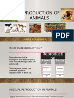 Reproduction of Animals