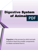 Digestive System of Animals