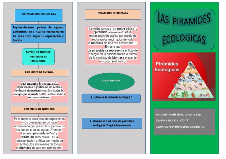 Pirámide trófica o ecológicas y tipos; de energía, de biomasa y