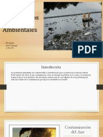 Red de Los Problemas Ambientales. Asiel Camargo 2-745-379