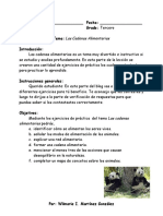 ejercicios-de-practica-contestado.doc