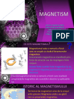 Magnetismul