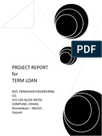 PROJECT REPORT For TERM LOAN