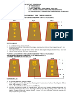 Lampiran Perbup Tanda Pangkat Ok