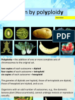 Evolution by Polyploidy: Dan Graur