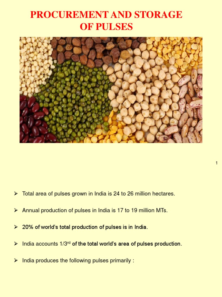 Procurement and Storage of Pulses | PDF | Legume | Bean