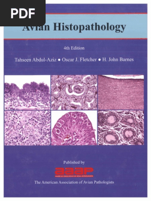 Avian Histophatology 4th Edition Vetbooks Ir Pdf Bone Marrow Haematopoiesis