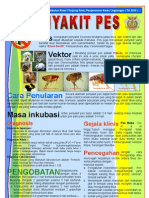 Poster Penyakit Pes, Bidang PRL Tahun 2010