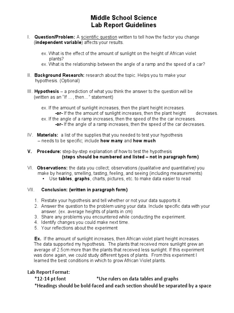 Lab Report Form  PDF  Experiment  Hypothesis